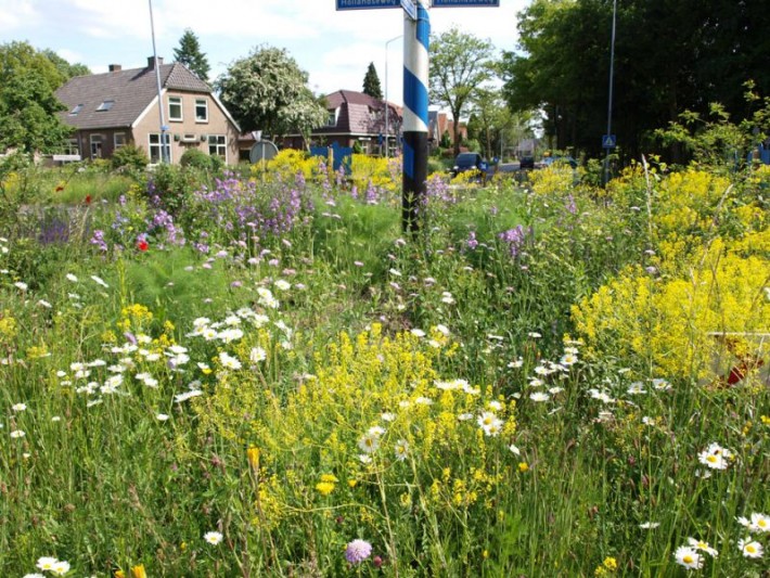 Inwoners Heiloo meest tevreden over openbaar groen